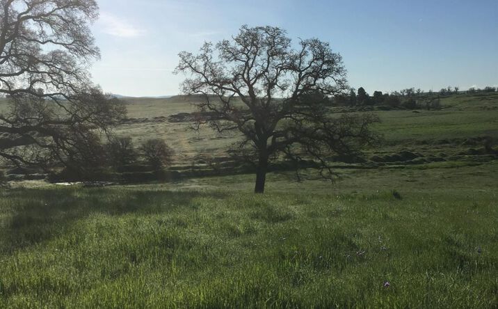 Pictures of Land property located at 10232 Gregory Rd, Valley Springs, CA 95252 for sales - image #1