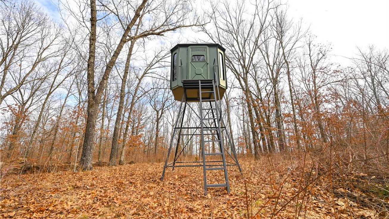 32813 County 40 Road, Cross Timbers, MO 65634