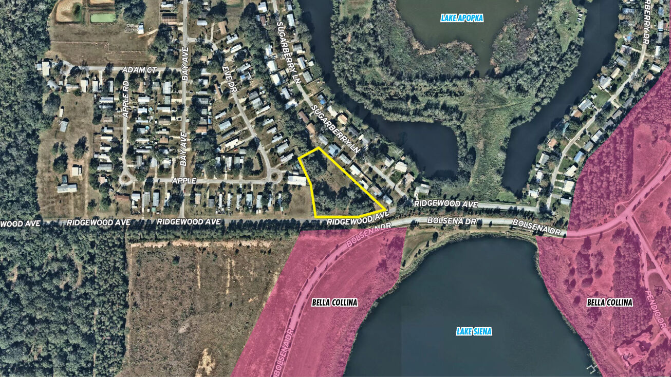 Ridgewood Ave, Montverde, FL 34756