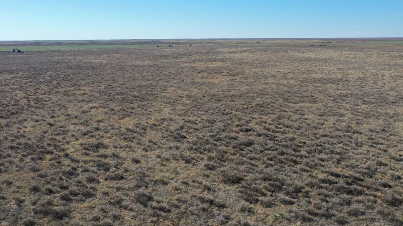 Lakin 311, Lakin, KS 67860