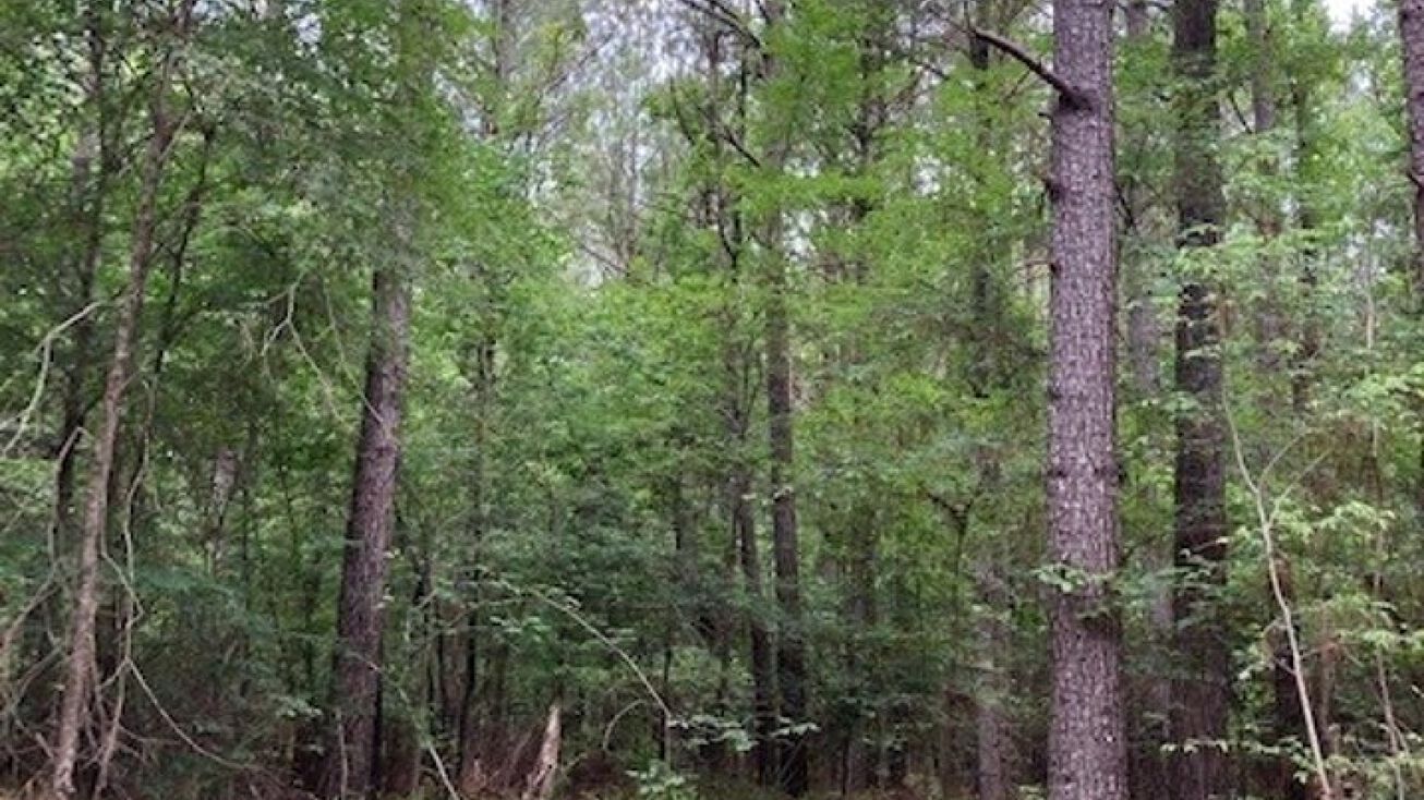 212 Acres in Clay County, West Point, MS 39773