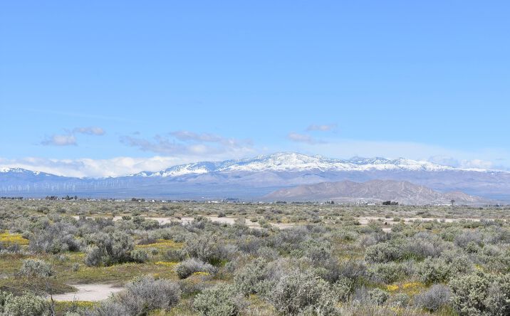Pictures of Land property located at 135th St W & Ave D4, Quartz Hill, CA 93536 for sales - image #1