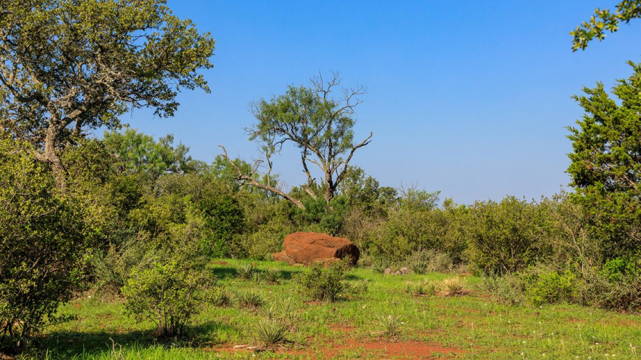 Art Hedwigs Hill Rd, Mason, TX 76856