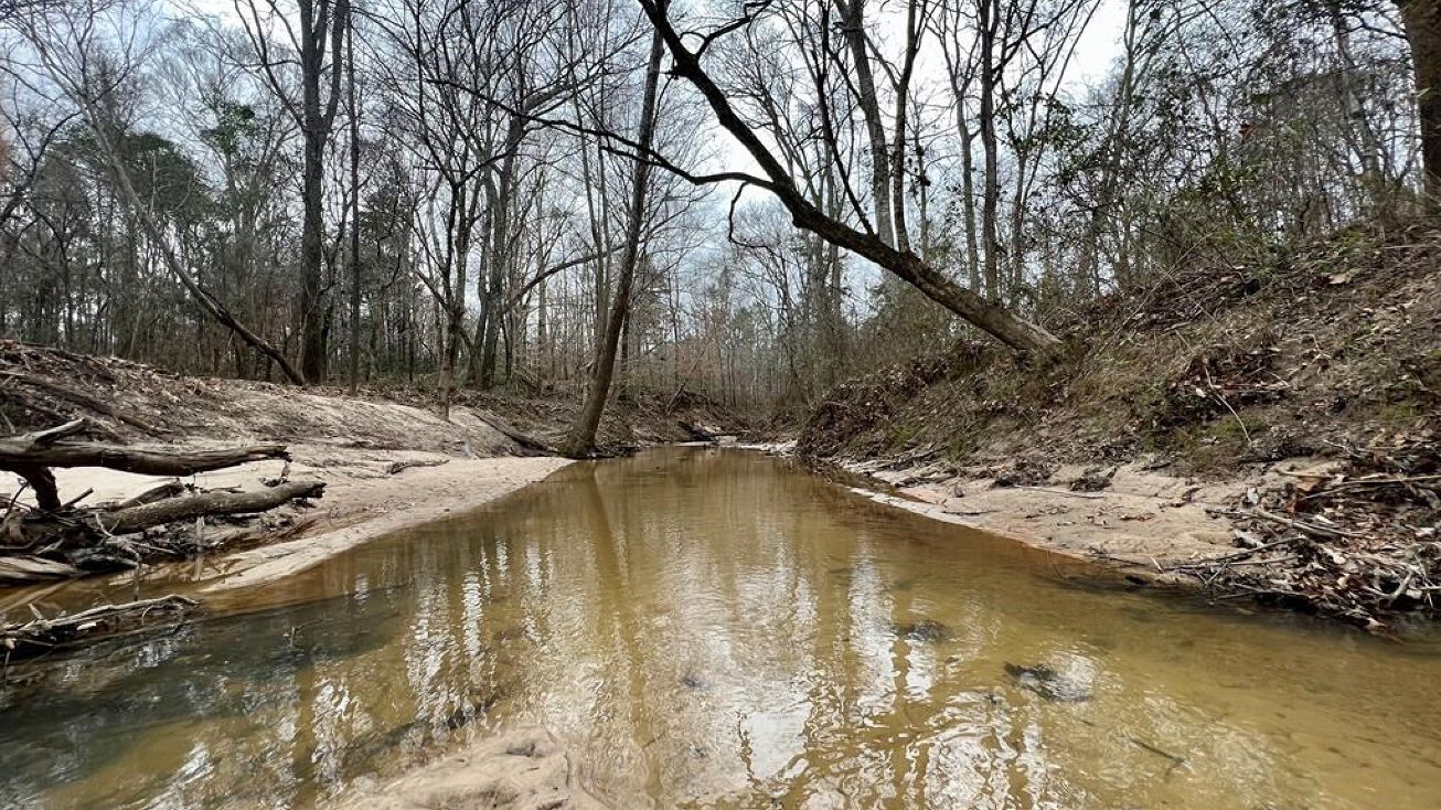 3200 Hopewell Rd, Harrisville, MS 39082