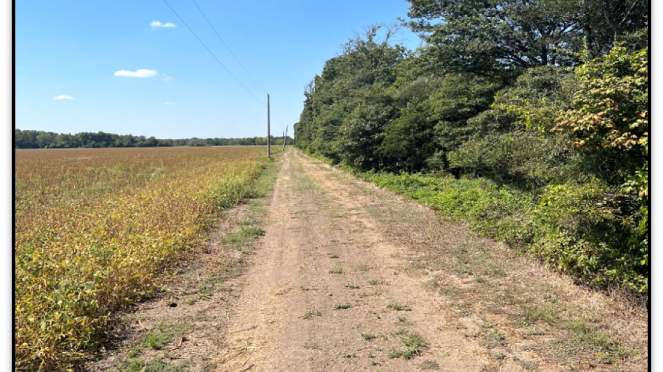 37.5 Acres, Tutwiler, MS 38963 Land for Sale 37.5 Acres
