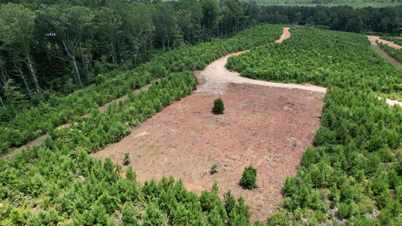 00 Maple Ln, Summit, MS 39666