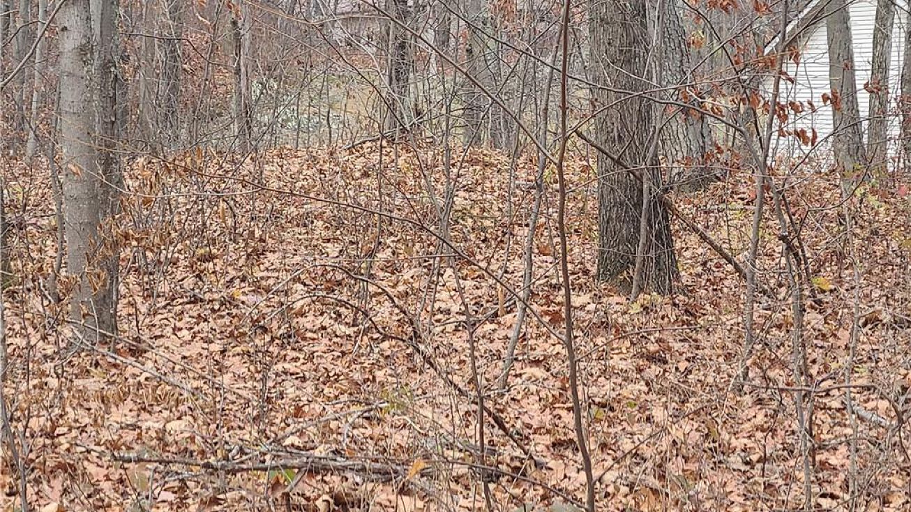 15 Forest Brook Ln, Hyde Park, NY 12538