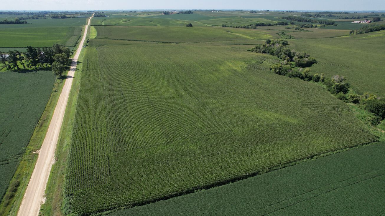 230th Ave, Delmar, IA 52037 Land for Sale 230th Avenue