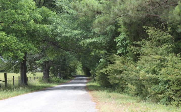 Pictures of Land property located at 721 Hosannah Rd, Locust Grove, GA 30248 for sales - image #1