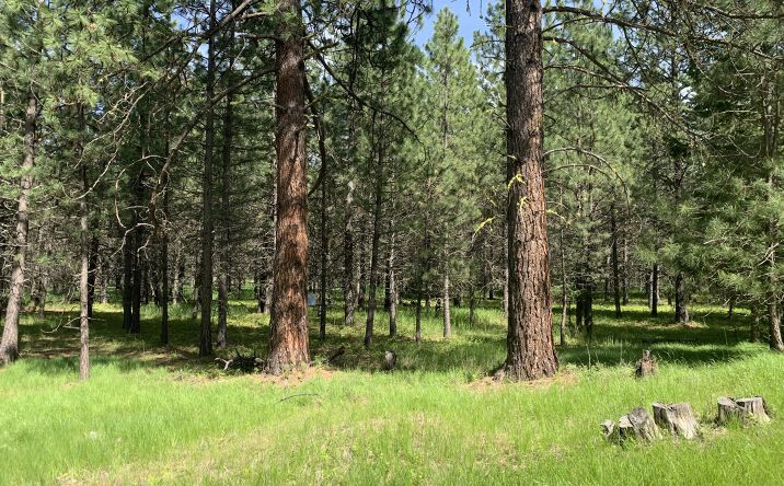 Pictures of Land property located at 131 Break Road, Libby, MT 59923 for sales - image #1