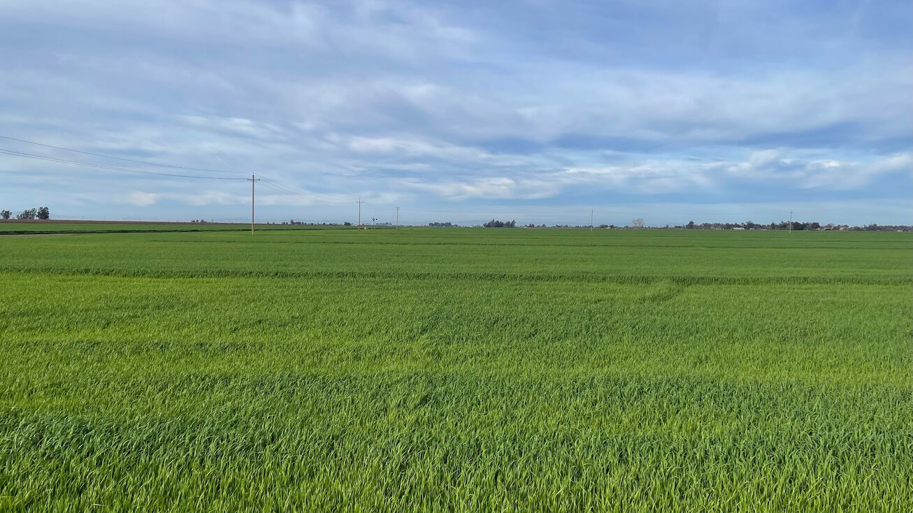 W Dickenson Ferry Rd, Merced, CA 95341 Land for Sale 611.7± Acre