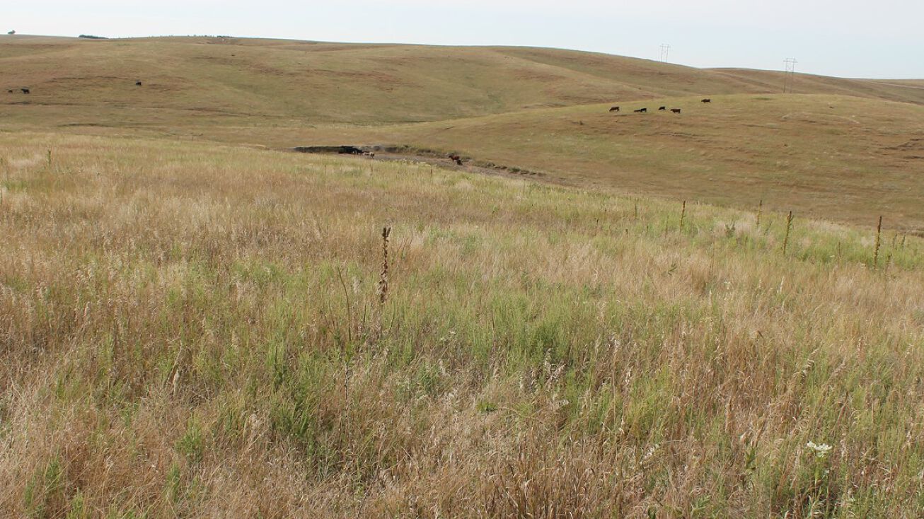 242 +/ Acres Along the Custer/Dawson County Line, Eddyville, NE 68834