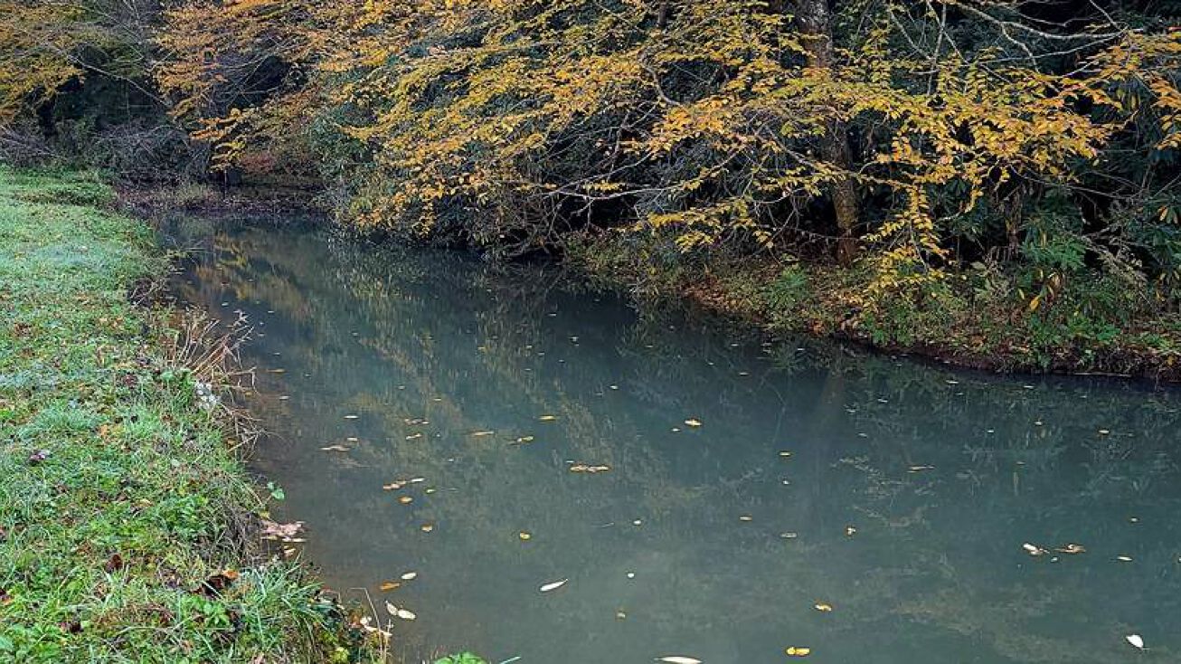 892 Pleasant Valley Rd, Herndon, WV 24726 Land for Sale 892