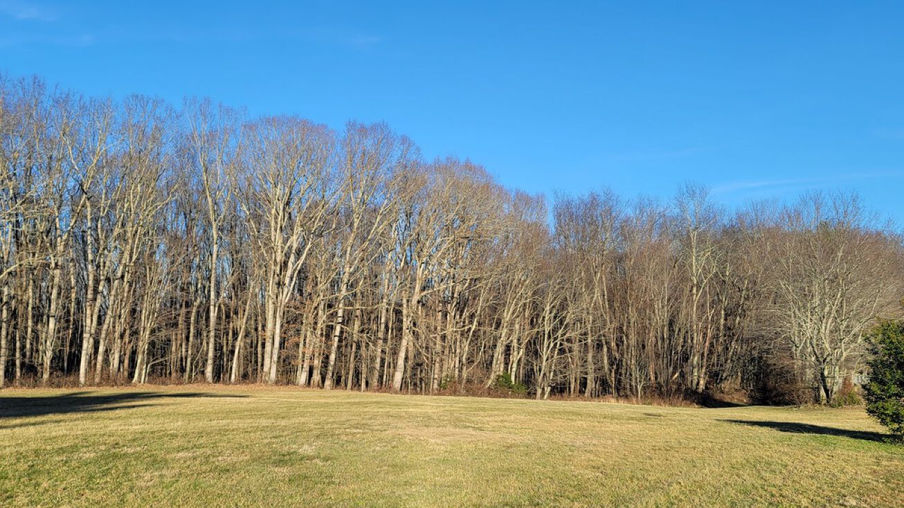 2451 Ritter Dr, Shady Spring, WV 25918