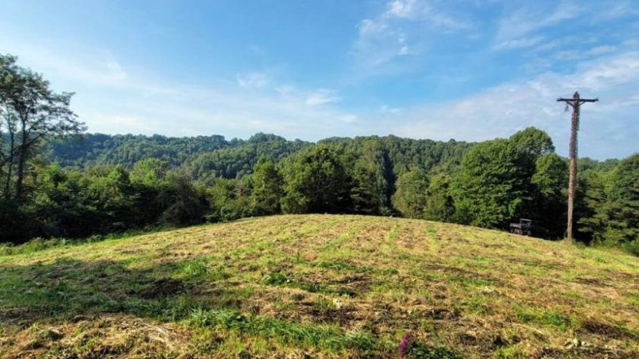 147 Pleasant Valley Rd, Herndon, WV 24726 Land for Sale Pleasant