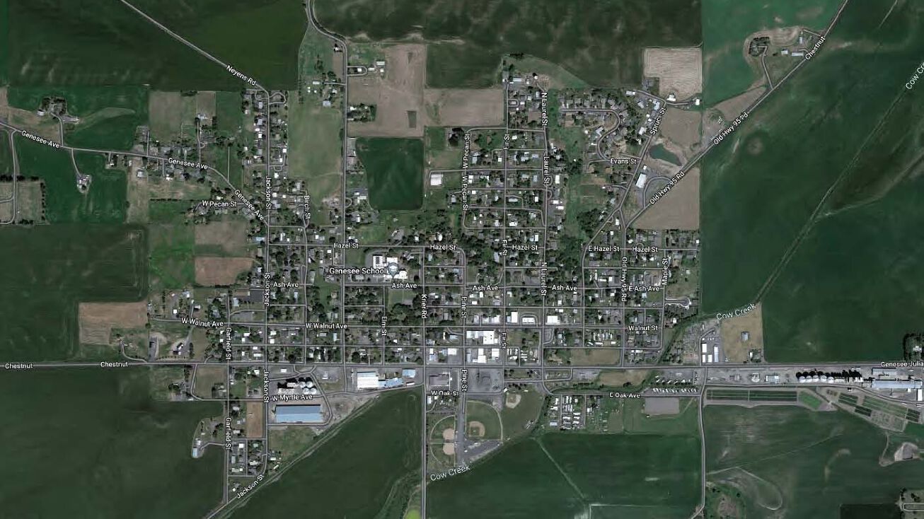 216 W Chestnut St, Genesee, ID 83832