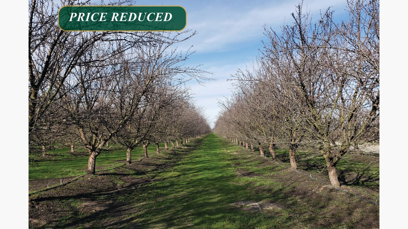 12390 E Kamm Ave, Kingsburg, CA 93631 Land for Sale 37.01ac