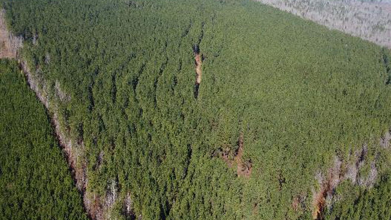 157.87 Acres in Oktibbeha, Starkville, MS 39759