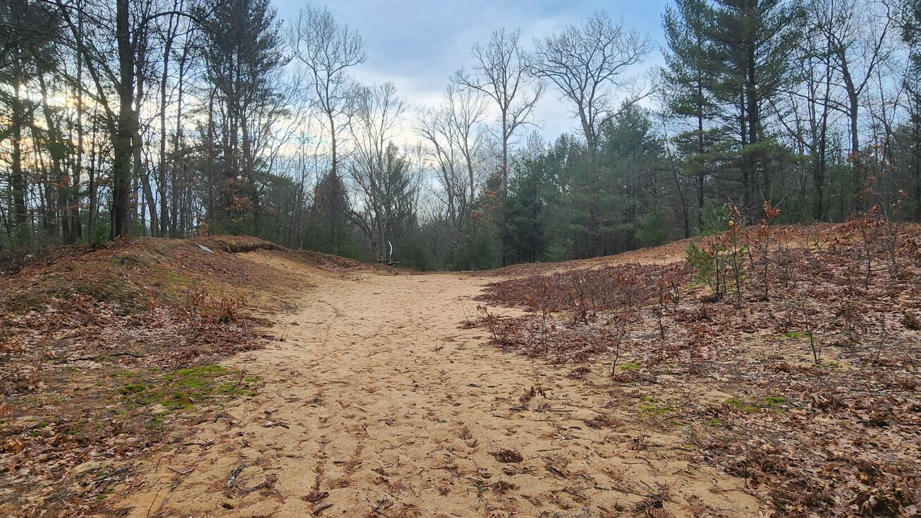 00 Wayne Road, Hart, MI 49420