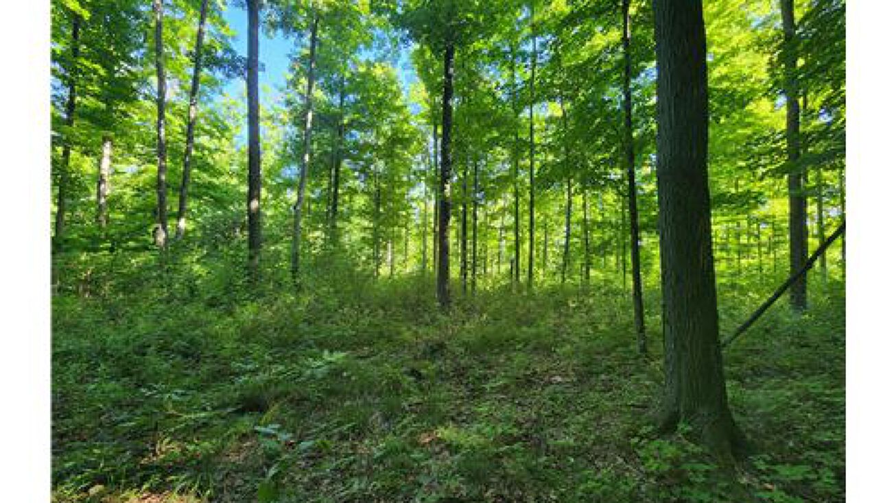 00 S 9 Mile Road, Moorestown, MI 49651