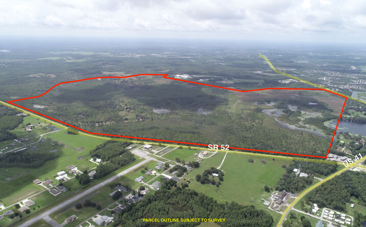 Pictures of Land property located at 0 State Rd 52, Land O' Lakes, FL 34610 for sales - image #1