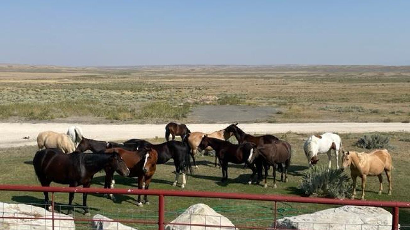 5330 Natrona Rd, Natrona, WY 82646 Land for Sale 5330 Natrona Road