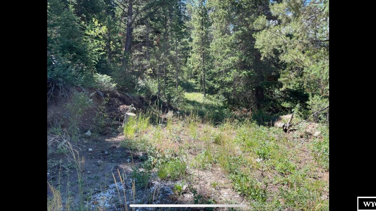 Long Creek Meeks Road, Dubois, WY 82513 Land for Sale Long Creek