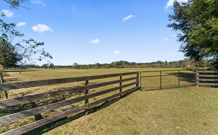 Pictures of Land property located at State Rd 52, San Antonio, FL 33576 for sales - image #1