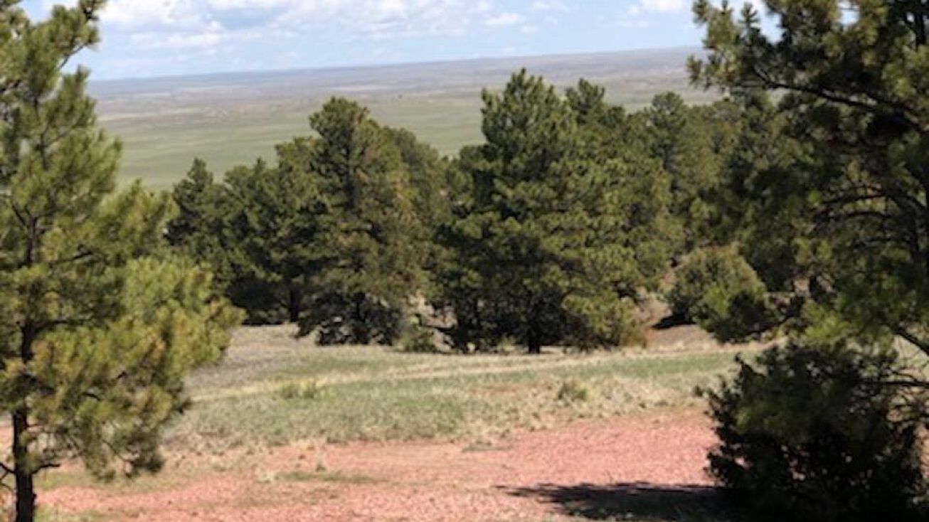 Lot 118 Brooks Blvd, Fort Laramie, WY 82212