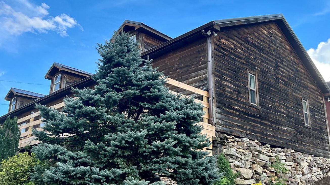 Honaker Rd, Honaker, VA 24260