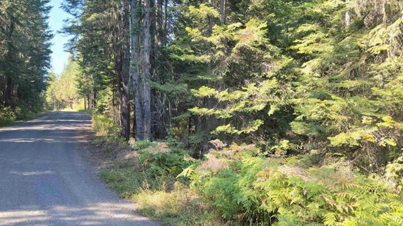 Lacey Meadows Rd, Weippe, ID 83553 Land for Sale TBD Lacey Meadows Road