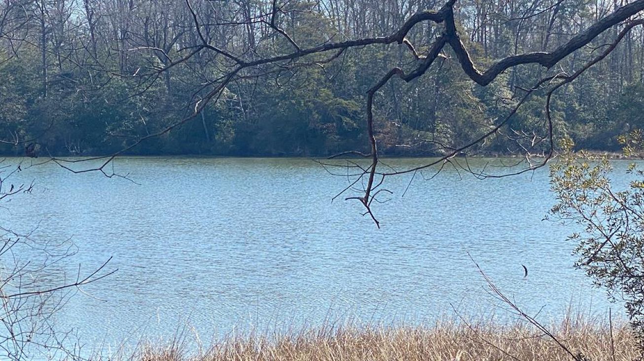 8 Robinson Creek Terrace, Urbanna, VA 23175