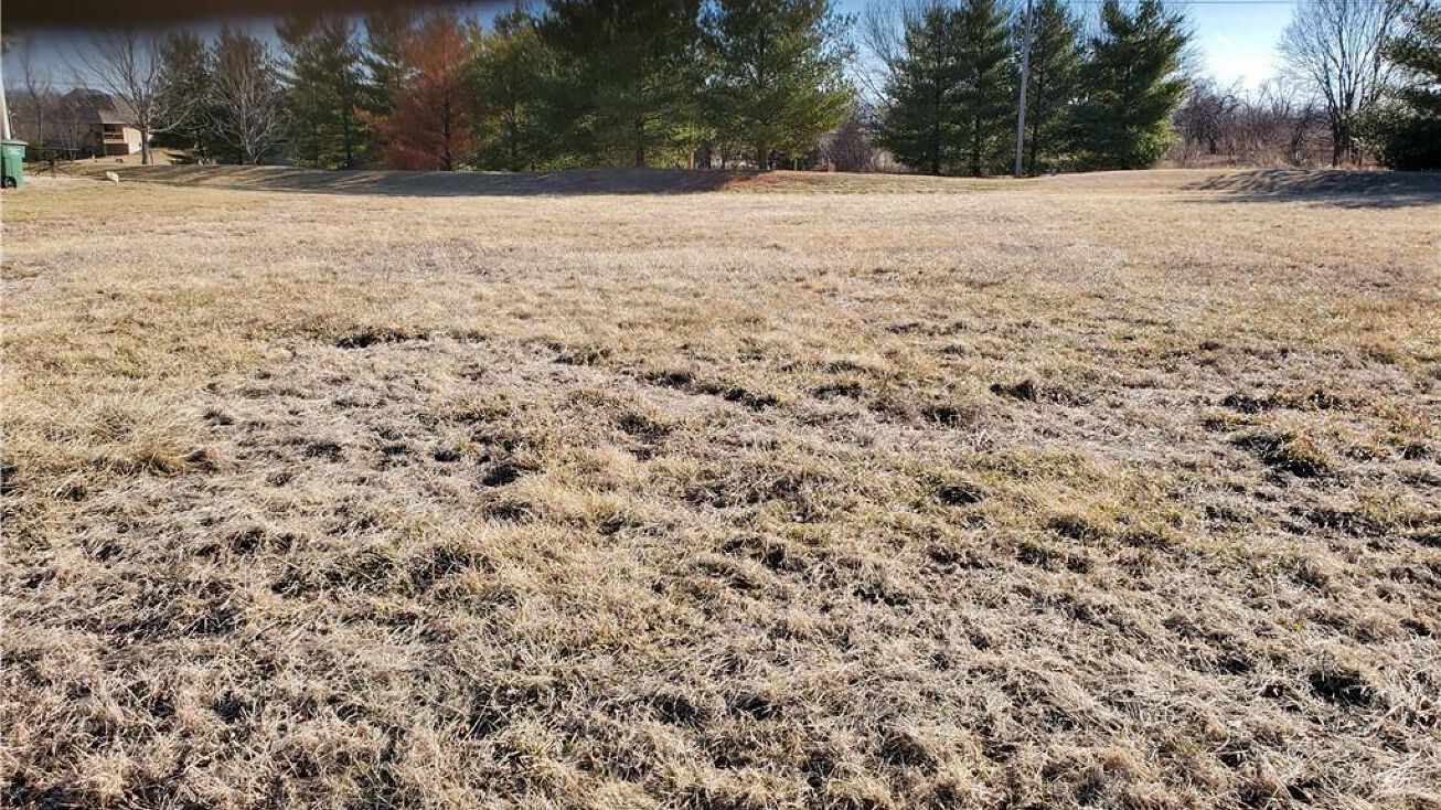 10803 Country Lane, Peculiar, MO 64078