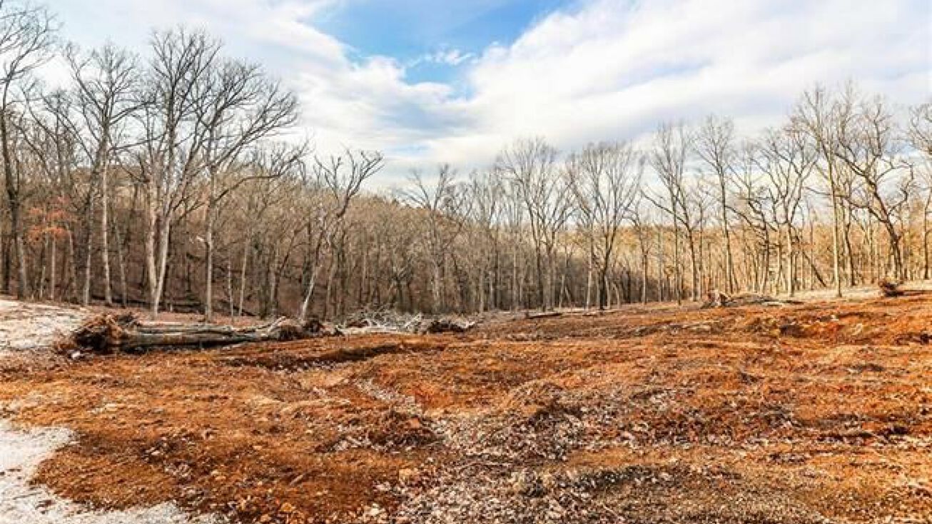 728 Wolf Point Dr, Pacific, MO 63069