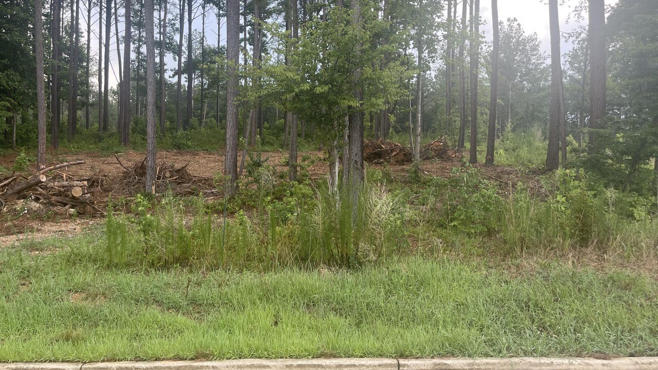 0 NE Crow Rd, Dalton, GA 30721