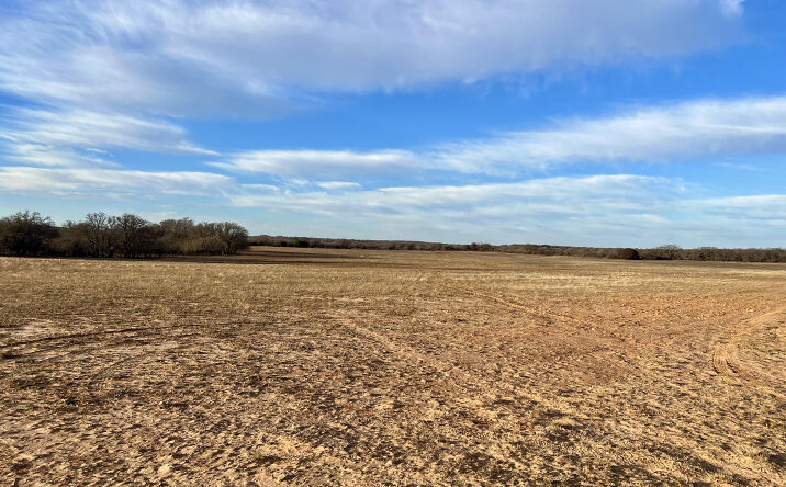 Pictures of Land property located at Co Rd 419, Novice, TX 79538 for sales - image #1
