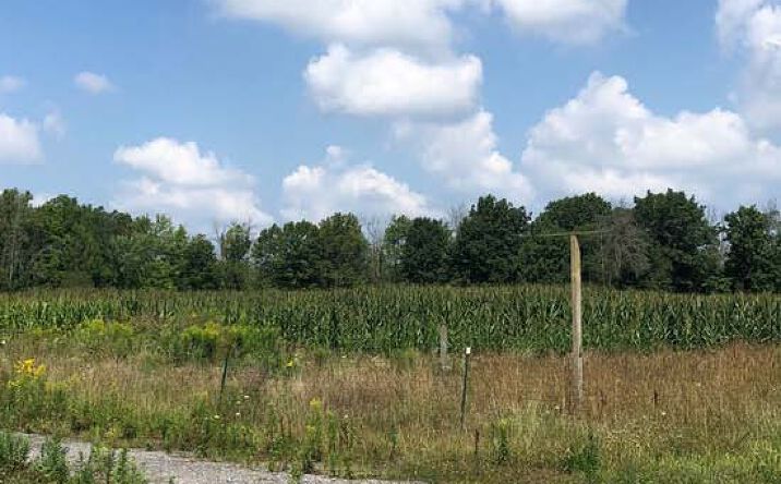 Pictures of Land property located at 3901 Niagara Falls Blvd, North Tonawanda, NY 14120 for sales - image #1