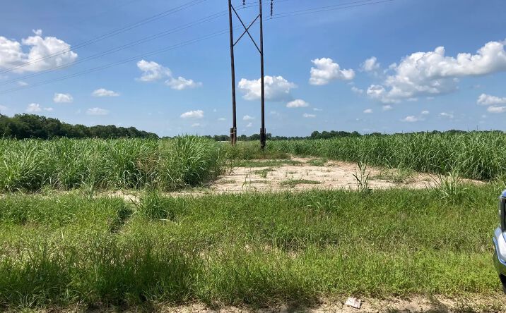 Pictures of Land property located at Cocodril Rd, Scott, LA 70583 for sales - image #1