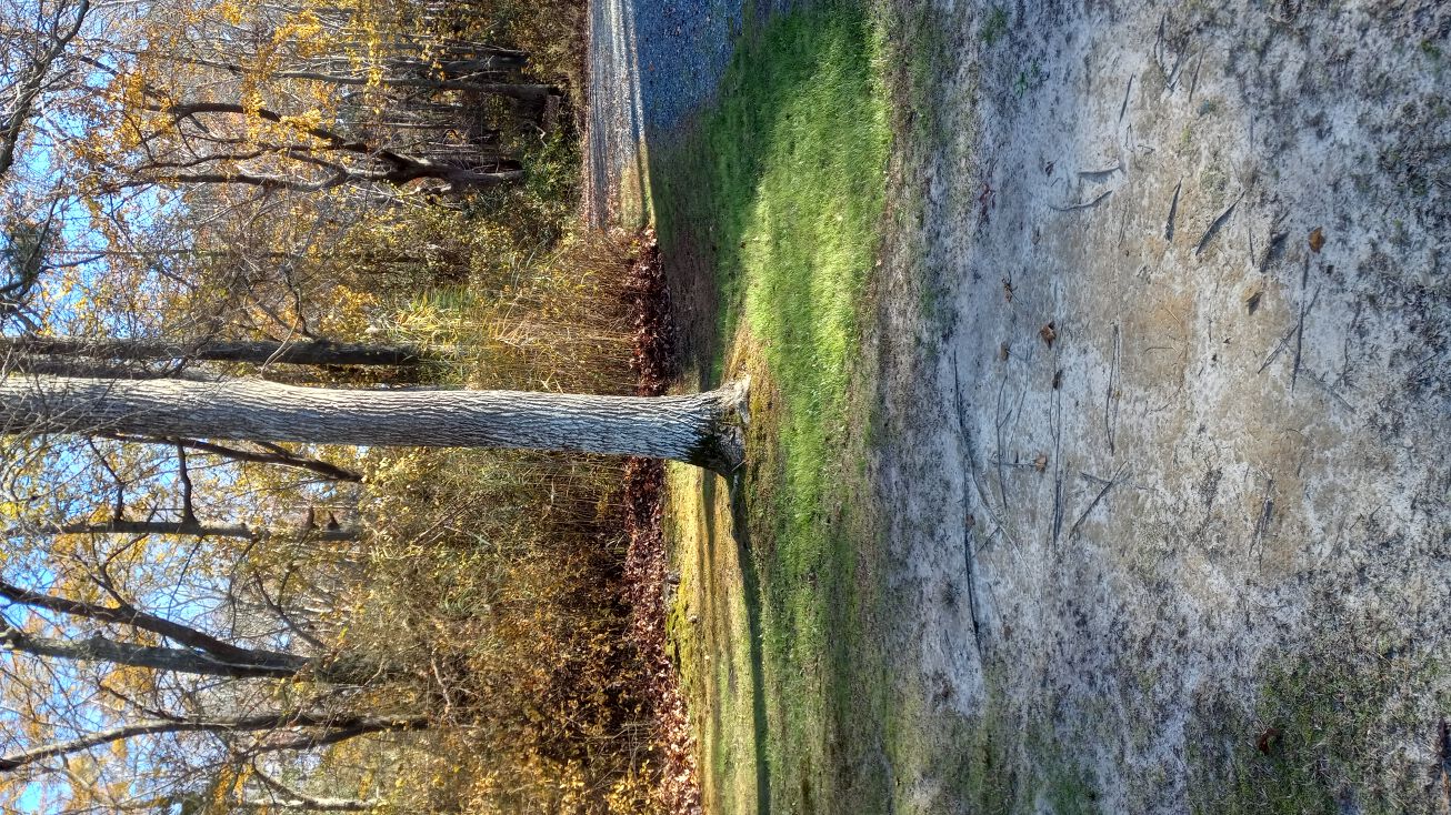 4146 Ridge Rd, Chincoteague, VA 23336 Land for Sale Lot 2 Ridge Rd