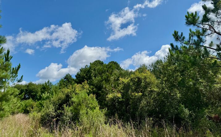 Pictures of Land property located at 650 Benjamin H Hill Dr W, Fitzgerald, GA 31750 for sales - image #1
