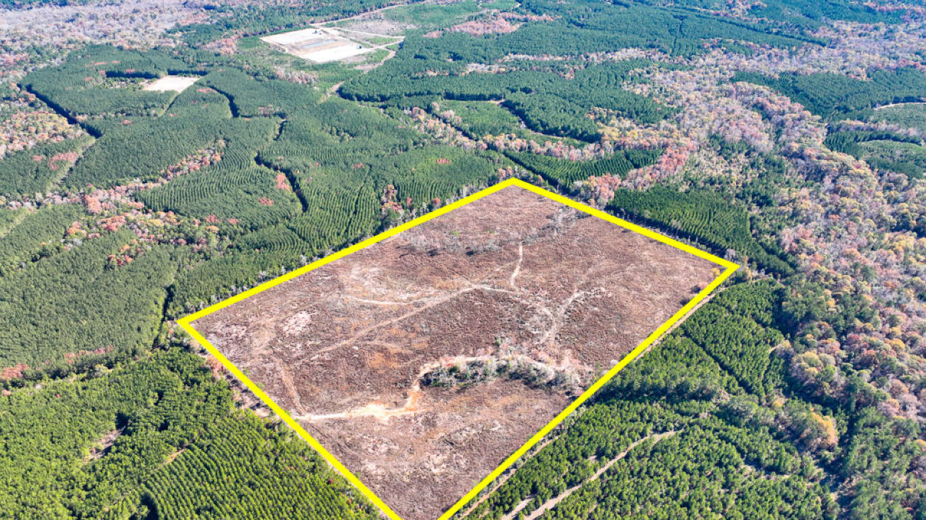 Off County Road 425, Woden, TX 75978 Land for Sale Off County Road 425