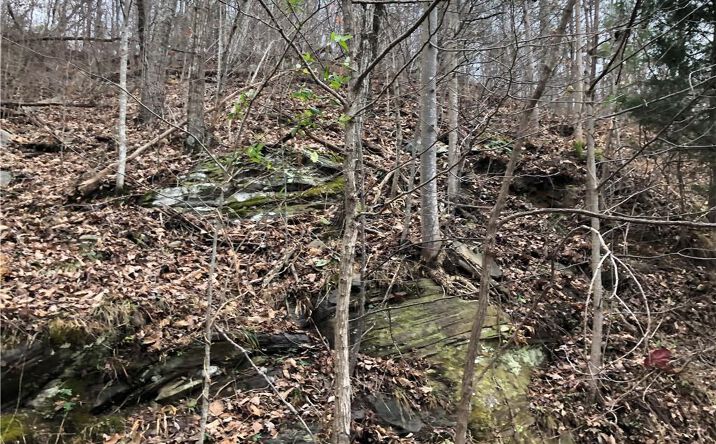 00 Big Rock Road # 119, Bostic, NC 28018 | Crexi.com