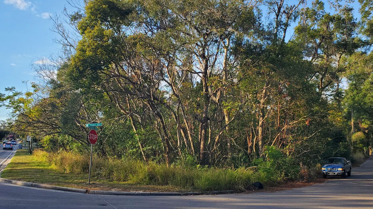 961 Apopka Blvd, Apopka, FL 32703