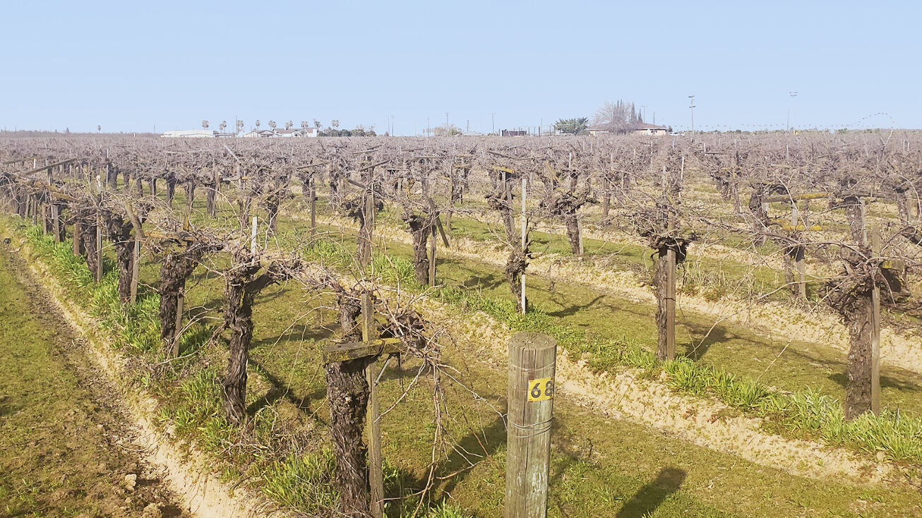 SWC of North & Fowler Aves, Fresno, CA 97325 Land for Sale 37.34