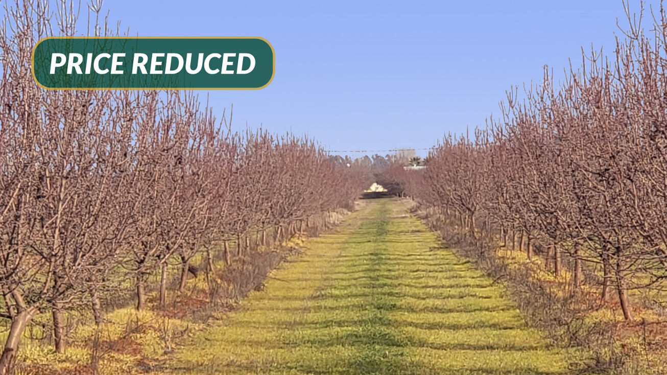 E. side of Sunnyside Ave. S. of North Ave, Fresno, CA 97325