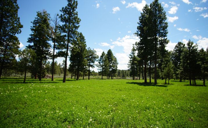 Pictures of Land property located at Pinherio Ranch, Unity, OR 97884 for sales - image #1
