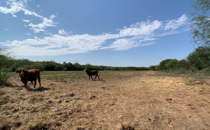 Pictures of Special Purpose property located at 1209 CONWAY AVE., ALTON, TX 78573 for sales - image #1