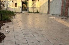 10204677