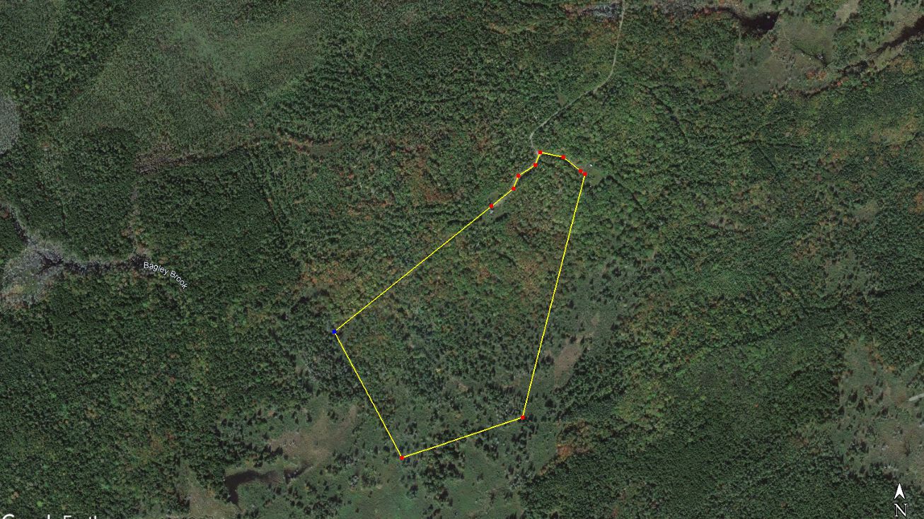 Lively Brook Acres Whiting lot 25, Whiting, ME 04691 Land for Sale