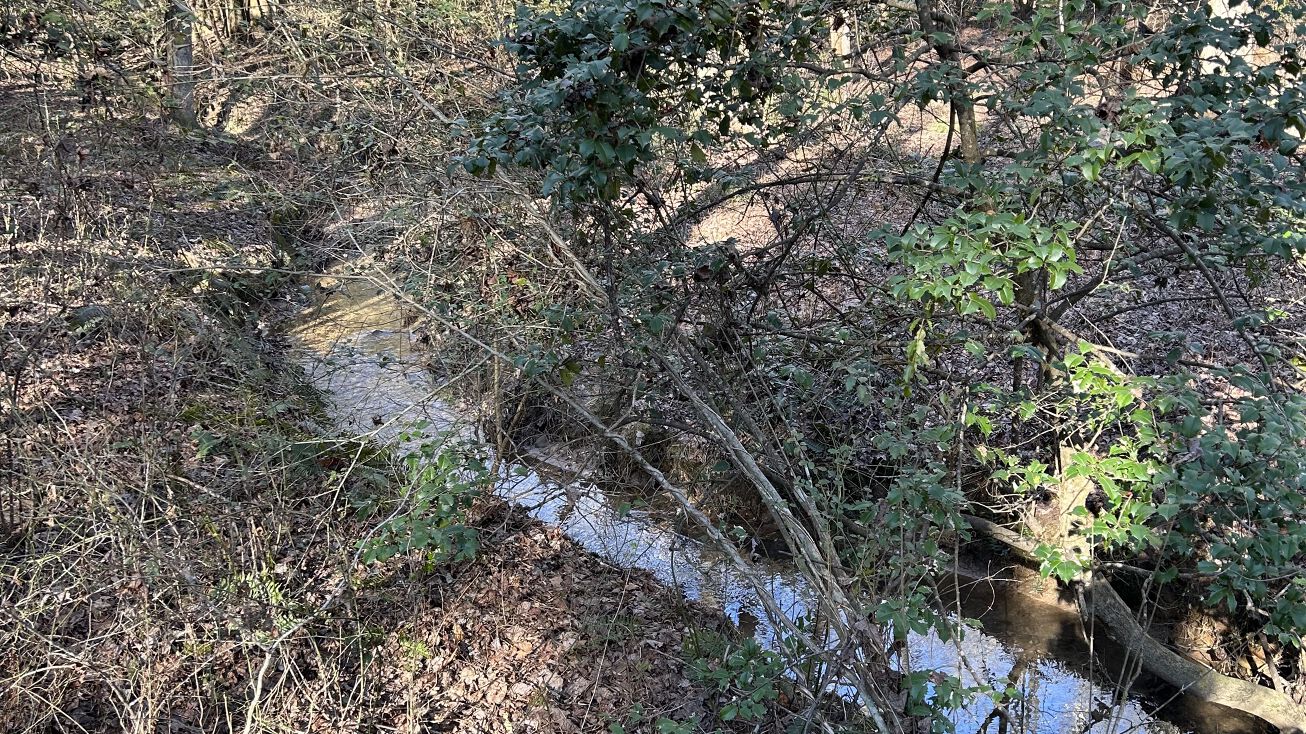 Reagan Trail, Dawsonville, GA 30534